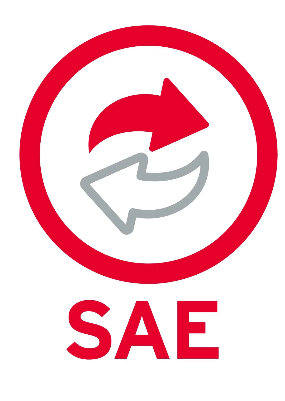 1 USUARIO ADICIONAL SAE 10 NUEVO SAEL1N (FISICO) - ASPEL PSAEL1N