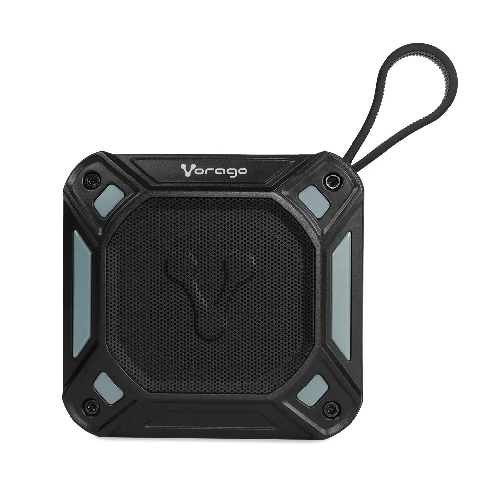 BSP-300-V3 BSP-300-V3